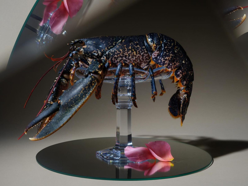 Ducasse Baccarat Paris 75116