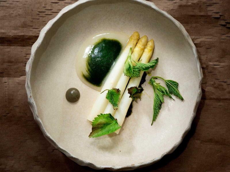 Prévelle - Romain Meder Paris 7