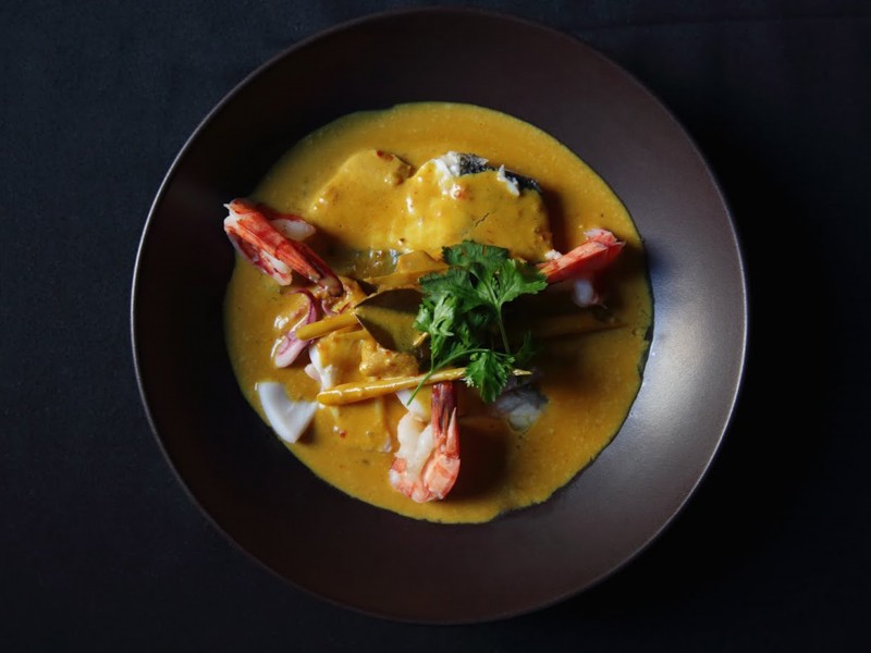 Le TIGrr Saint-Germain Paris 6