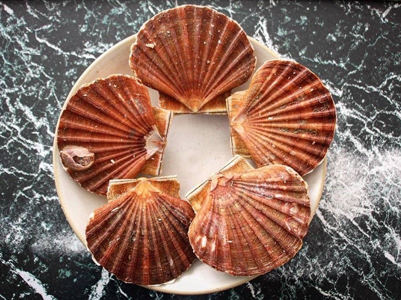 Le Saint-Sébastien  Paris 11