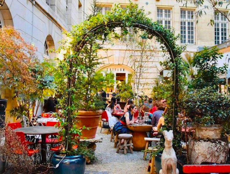 Griffon Paris 4