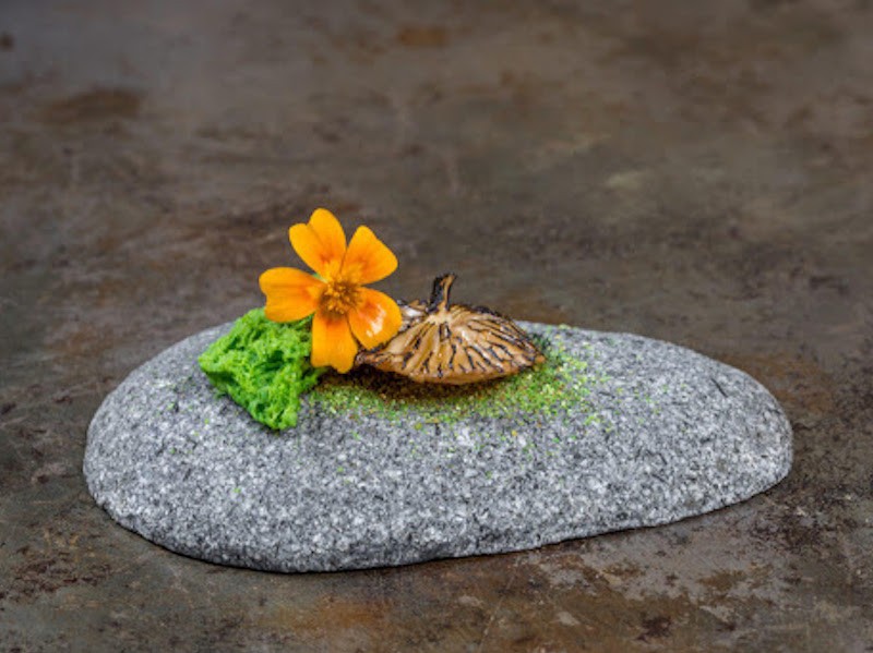 Qui Plume La Lune Paris 11