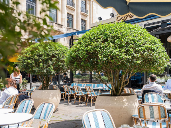 Le Saint-Victor Paris 5